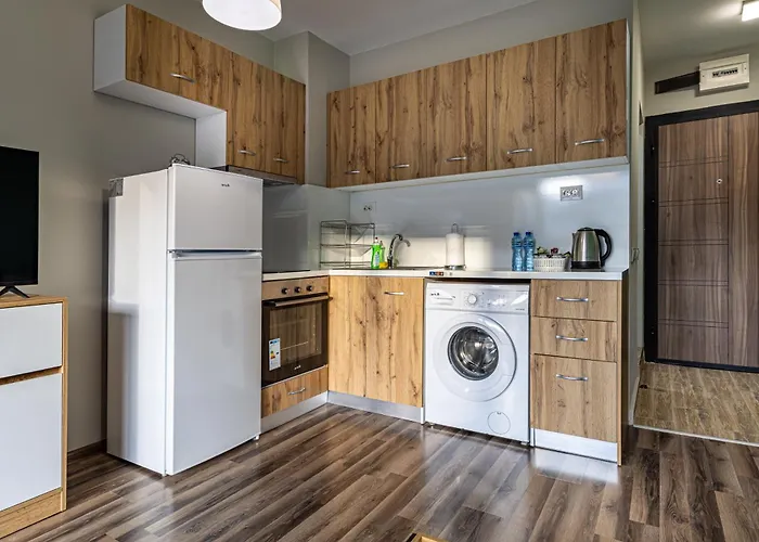 Student With Mountain View Balcony And Underground Parking 1